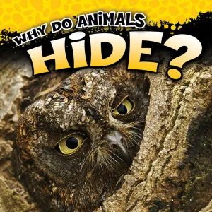 2017 - Why Do Animals Hide? (eBook)